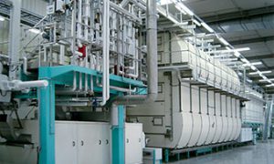 Teigwarenproduktion